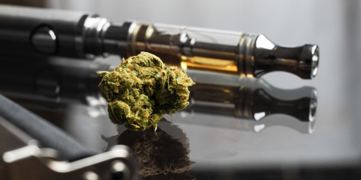 Elevate Your Experience with Potent delta 8 vapes, THCA Carts, Gummies, and Premium Disposable Products
