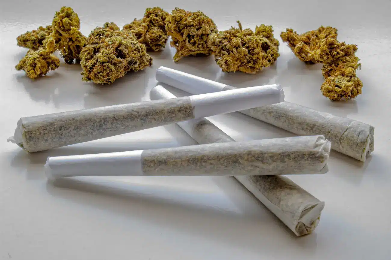 Europe’s Premium Rolls Only at Euro Weed Clinic